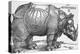 Rhinoceros-Albrecht Dürer-Premier Image Canvas
