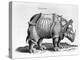 Rhinocerous, No. 76 from "Historia Animalium" by Conrad Gesner (1516-65) Published in July 1815-Albrecht Dürer-Premier Image Canvas