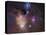 Rho Ophiuchi Nebula-Stocktrek Images-Premier Image Canvas