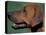 Rhodesian Ridgeback Profile-Adriano Bacchella-Premier Image Canvas