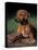 Rhodesian Ridgeback Puppy-Adriano Bacchella-Premier Image Canvas