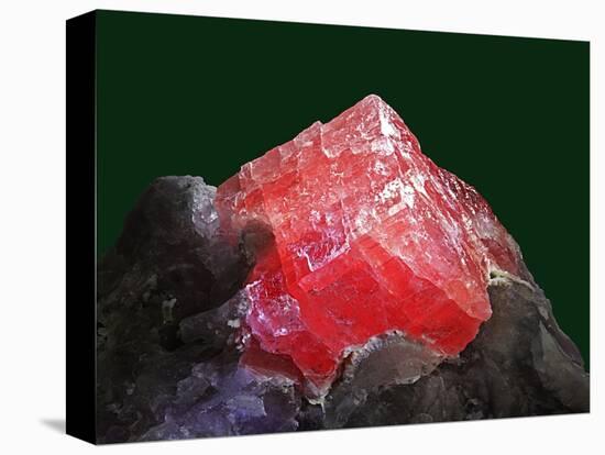 Rhodochrosite mineral from China's Wuton mine-Walter Geiersperger-Premier Image Canvas