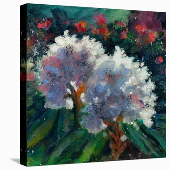 Rhododendron Portrait I-Anne Farrall Doyle-Stretched Canvas