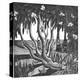 Rhododendrons, Holland Park-Mary Kuper-Premier Image Canvas