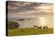 Rhossili Bay, Gower, Wales, United Kingdom, Europe-Billy Stock-Premier Image Canvas