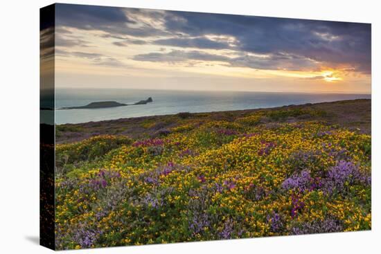 Rhossili Bay, Worms End, Gower Peninsula, Wales, United Kingdom, Europe-Billy-Premier Image Canvas