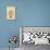 Riband Albuca, Albuca Vittata-Sydenham Teast Edwards-Premier Image Canvas displayed on a wall