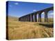 Ribblehead Railway Viaduct on Settle to Carlisle Rail Route, Yorkshire Dales National Park, England-Neale Clark-Premier Image Canvas