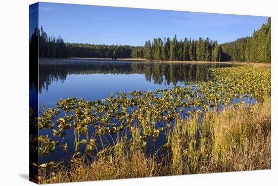 Ribbon Lake, Yellowstone National Park, Wyoming, United States of America, North America-Gary Cook-Premier Image Canvas