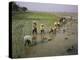 Rice Farmers-Bjorn Svensson-Premier Image Canvas