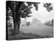 Rice Field #1-Monte Nagler-Premier Image Canvas