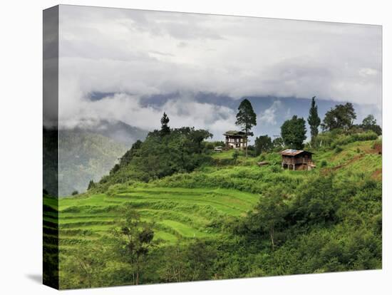 Rice Fields and Terraces Spread Out in All Areas Between the Mountains, Bhutan-Tom Norring-Premier Image Canvas