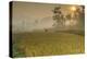 Rice Fields at the Foot of the Gunung Agung-Christoph Mohr-Premier Image Canvas