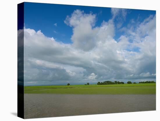 Rice fields with clouds along Kaladan River, Rakhine State, Myanmar-null-Premier Image Canvas