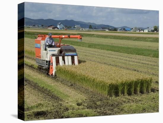 Rice Harvest with Mini-Combine-Harvester, Furano Valley, Central Hokkaido, Japan, Asia-Tony Waltham-Premier Image Canvas