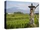 Rice paddies with shrine and Mount Batukaru, Bali, Indonesia, Southeast Asia, Asia-Melissa Kuhnell-Premier Image Canvas