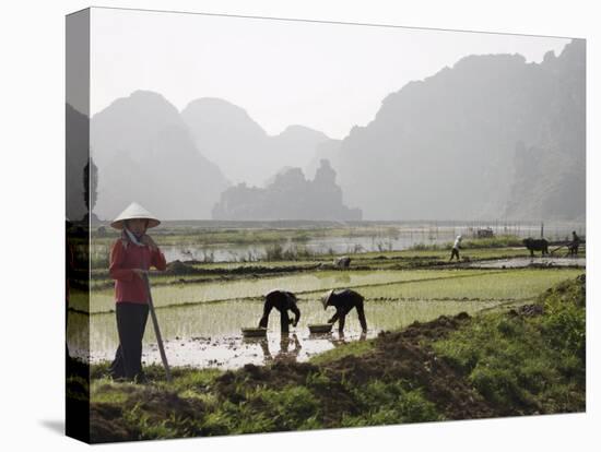 Rice Planters Working in Paddy Fields, Vietnam, Indochina, Southeast Asia-Purcell-Holmes-Premier Image Canvas