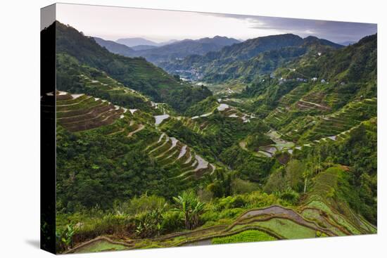 Rice Terraces, Agriculture, Philippine Cordilleras, Banaue, Ifugao, Philippines-Keren Su-Premier Image Canvas