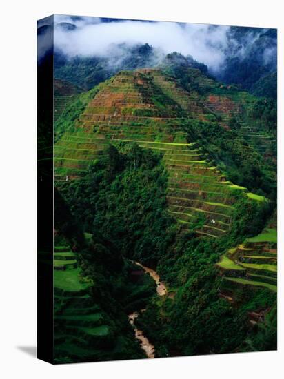 Rice Terraces Around Banaue, Banaue, Philippines-Richard I'Anson-Premier Image Canvas