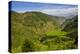 Rice Terraces from Bontoc to Banaue, Luzon, Philippines-Michael Runkel-Premier Image Canvas