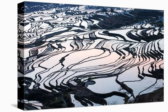 Rice Terraces in Yuanyang, Yunnan, China-Nadia Isakova-Premier Image Canvas