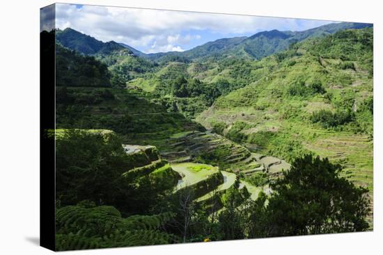 Rice Terraces of Banaue, Northern Luzon, Philippines-Michael Runkel-Premier Image Canvas