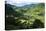 Rice Terraces of Banaue, Northern Luzon, Philippines-Michael Runkel-Premier Image Canvas