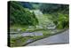 Rice Terraces of Banaue, Northern Luzon, Philippines-Michael Runkel-Premier Image Canvas