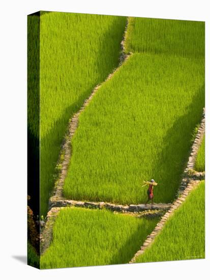 Rice Terraces of Batad at Banaue, Luzon Island, Philippines-Michele Falzone-Premier Image Canvas