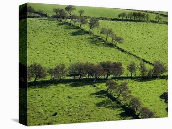 Rich green pastureland in countryside of Northern Ireland-Layne Kennedy-Premier Image Canvas