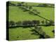 Rich green pastureland in countryside of Northern Ireland-Layne Kennedy-Premier Image Canvas