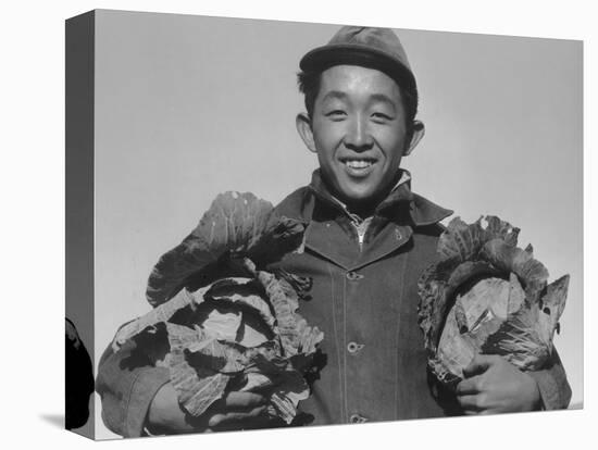 Richard Kobayashi, farmer with cabbages at Manzanar, 1943-Ansel Adams-Premier Image Canvas