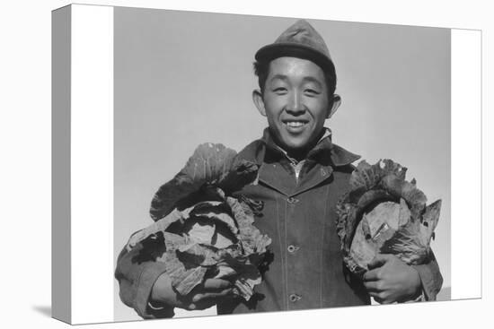 Richard Kobayashi, Farmer with Cabbages-Ansel Adams-Stretched Canvas