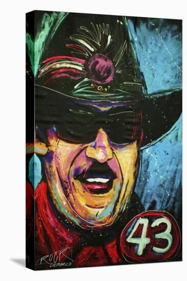 Richard Petty 001-Rock Demarco-Premier Image Canvas