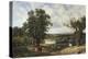 Richmond Park-John F. Tennant-Premier Image Canvas