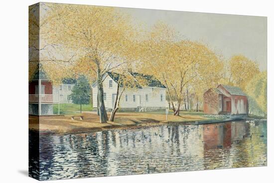 Richmondtown Pond, Richmondtown, Staten Island, 1995-Anthony Butera-Premier Image Canvas