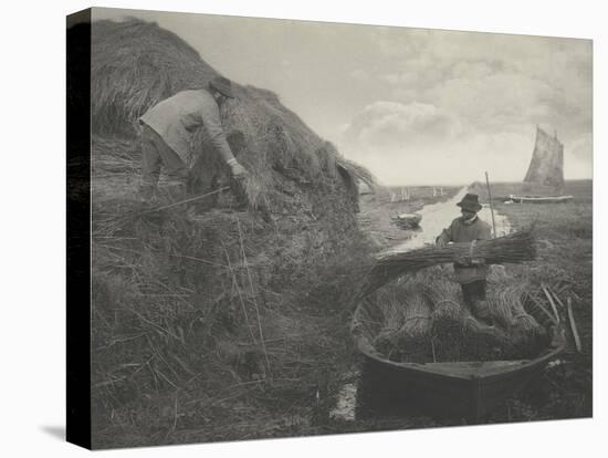 Ricking the reed-Peter Henry Emerson-Premier Image Canvas