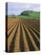 Ridged Soil in Ploughed Field, Somerset, England, United Kingdom-Roy Rainford-Premier Image Canvas