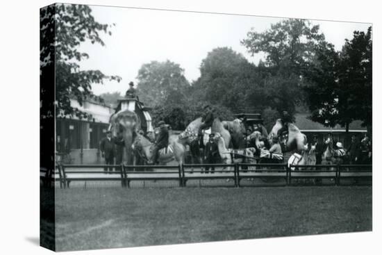 Riding Animals Bedecked for the Peace Day Celebrations, 19th July 1919-Frederick William Bond-Premier Image Canvas