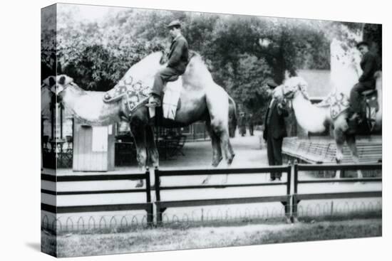 Riding Camels Bedecked for the Peace Day Celebrations, 19th July 1919-Frederick William Bond-Premier Image Canvas