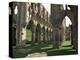 Rievaulx Abbey, Yorkshire, England, United Kingdom-Adam Woolfitt-Premier Image Canvas