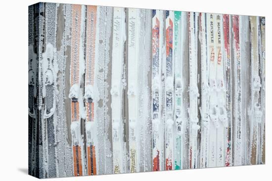 Rime Covered Skis Mounted To The Wall Of Corbet's Cabin At Top Of Jackson Hole Mt Resort, Wyoming-Jay Goodrich-Premier Image Canvas