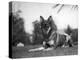 Rin-Tin-Tin (1916-1932)-null-Premier Image Canvas