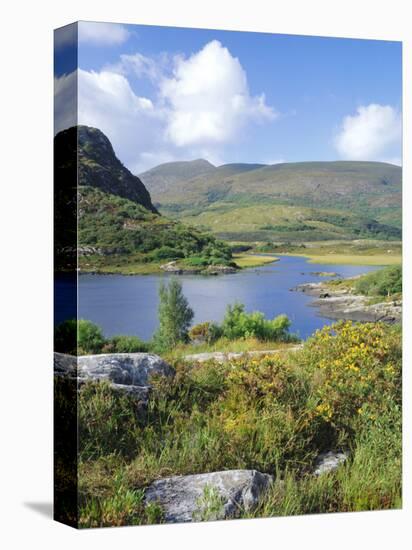 Ring of Kerry Between Upper Lake and Muckross Lake, Munster, Republic of Ireland (Eire)-Roy Rainford-Premier Image Canvas