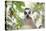 Ring-Tailed Lemur (Lemur Catta), Isalo National Park, Ihorombe Region, Southwest Madagascar, Africa-Matthew Williams-Ellis-Premier Image Canvas