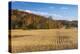 Ripe Cornfield and Barn in Brown County, Indiana, USA-Chuck Haney-Premier Image Canvas