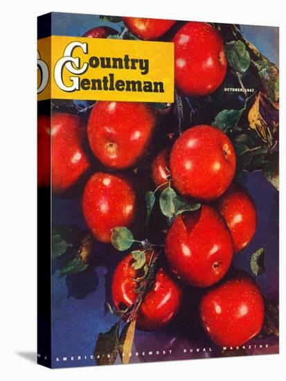 "Ripe Red Apples," Country Gentleman Cover, October 1, 1947-Jon Fujita-Premier Image Canvas