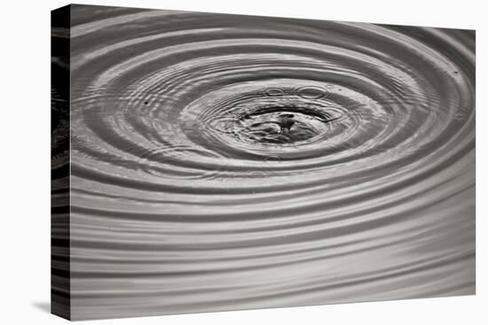 Ripples II-Tammy Putman-Premier Image Canvas