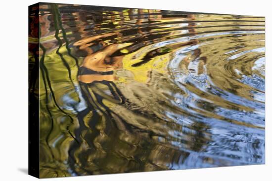 Ripples in Pool at Rancho La Purerta, Tecate, Mexico-Jaynes Gallery-Premier Image Canvas