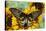 Rippon's Birdwing Butterfly, Female, Troides Hypolitus-Darrell Gulin-Premier Image Canvas